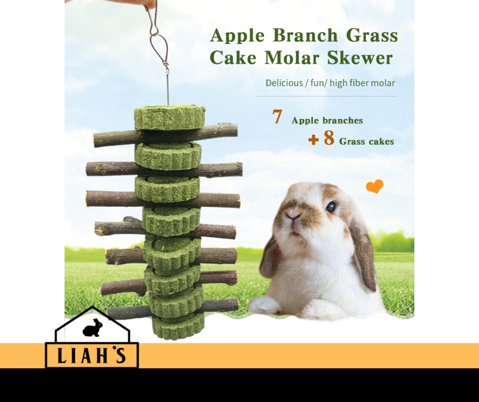para grass for rabbit