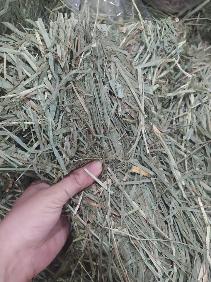 2nd Cut Timothy Hay 1kg - Liah's Pet Supplies