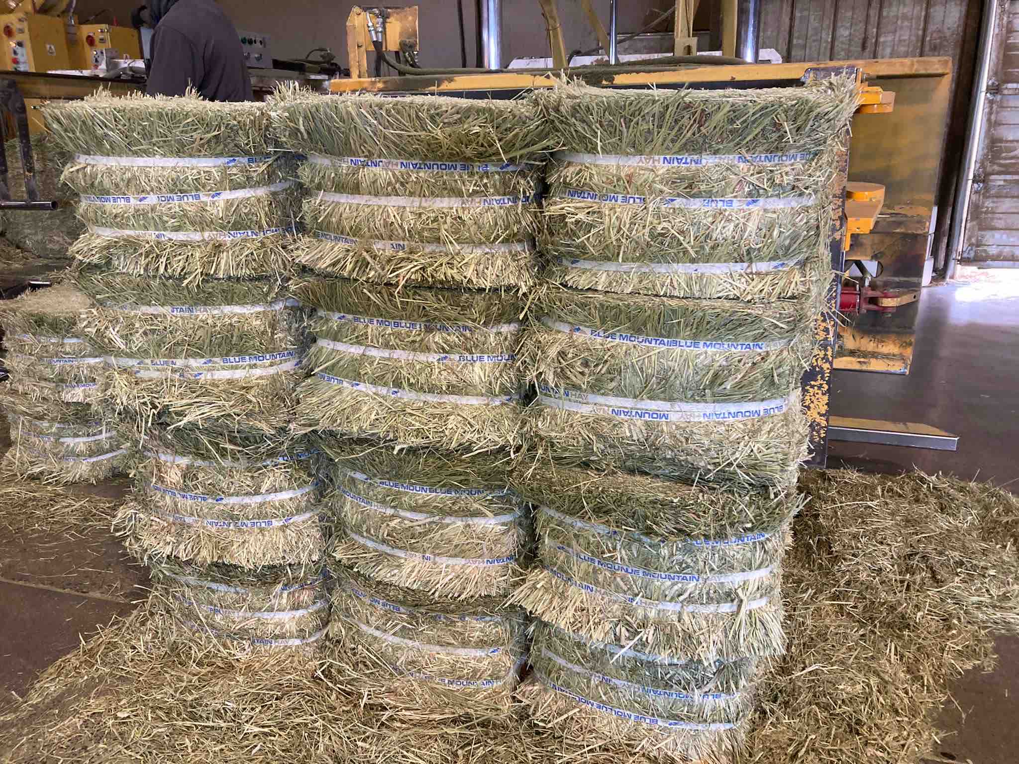 Timothy hay mini bale 5kg