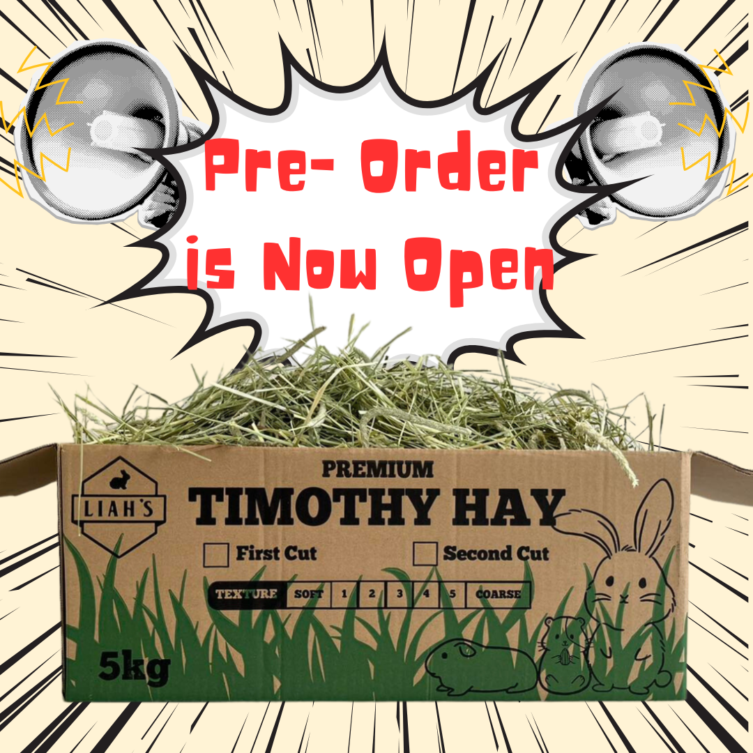 Pre Order Is Now Open